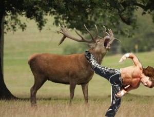 Shawn Michaels hunting